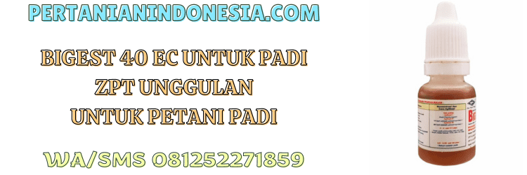 bigest,bigest 40 ec,zpt,indotani,cap kapal terbang,pertanian indonesia
